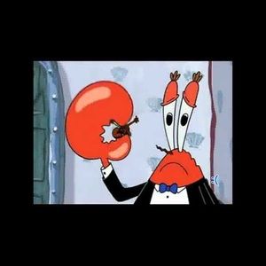 Meet your Posher, Steven